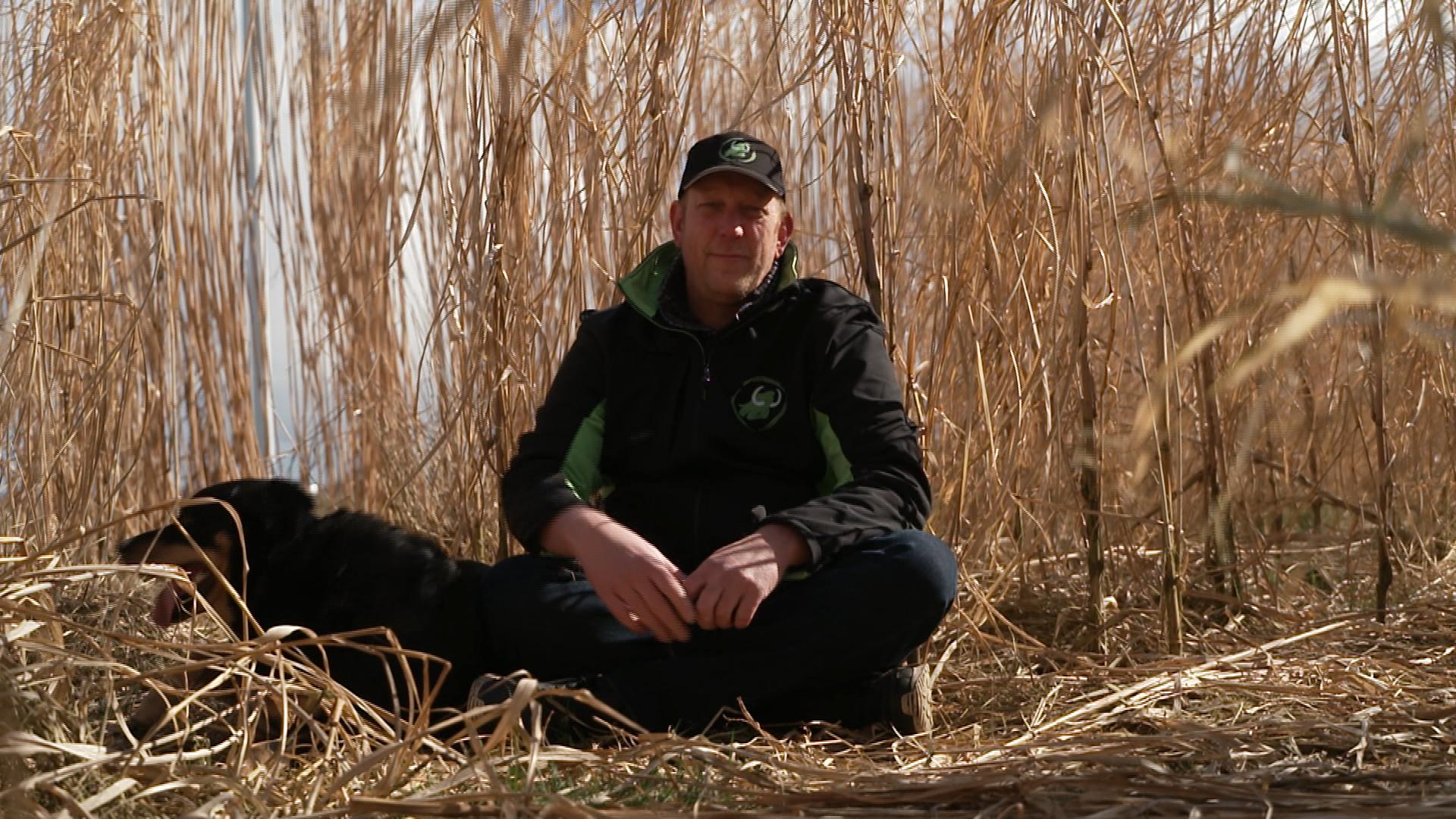 Dit metershoge gras kan een oplossing zijn voor het stikstof- en CO2-probleem Dit metershoge gras kan een oplossing zijn voor het stikstof- en CO2-probleem