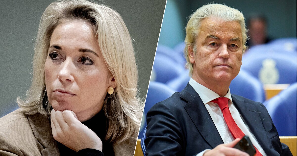 Wilders: wij zullen motie van wantrouwen tegen staatssecretaris Coenradie niet steunen Wilders: wij zullen motie van wantrouwen tegen staatssecretaris Coenradie niet steunen