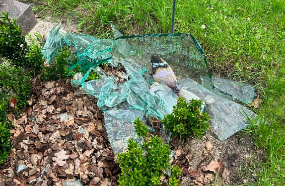 Mohamed B. vernielde graven in Utrecht, 5 jaar cel geëist: ‘Was dom bezig’